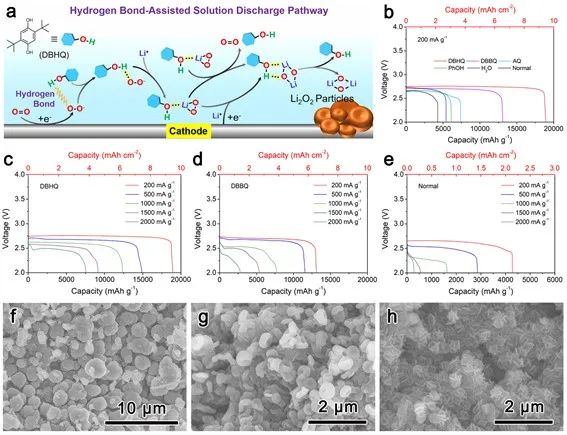 长春应化所张新波AM：氢键辅助溶液放电实现高性能Li-O2电池