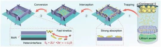 范壮军/魏彤/刘征AEM: 实现锂硫电池高稳定性/高硫利用率的莫特-肖特基异质层
