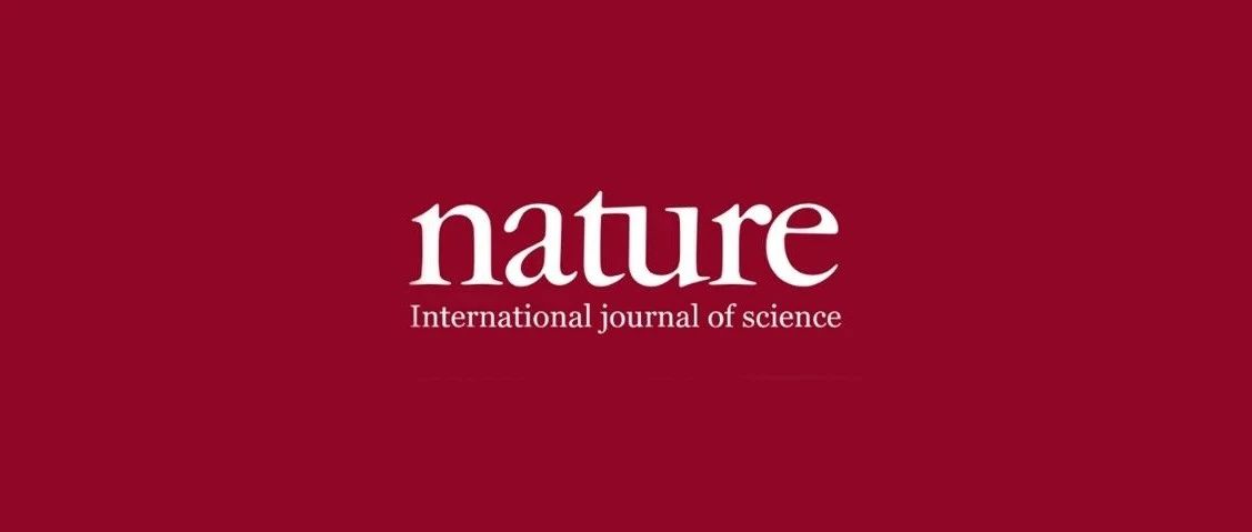 支春义/朱文光/刘玮书Nature子刊: 颠覆!性能超越常温的低温水系锌离子电池 | 华算科技
