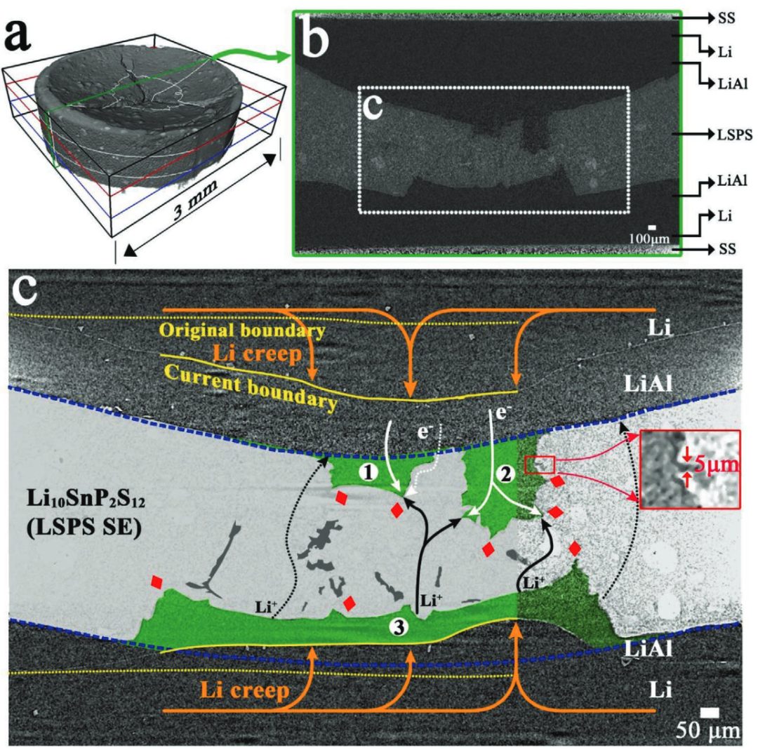 崔光磊/董杉木等AEM：多种手段厘清全固态电池中的电-化学-机械的耦合