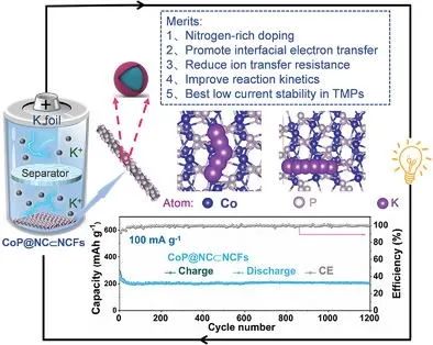 山大熊胜林/奚宝娟AEM：用于高效储钾的零应变CoP复合材料