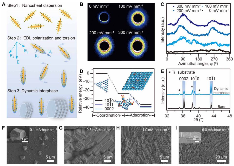 浙大陆盈盈Science Advances：动态界面介导金属沉积，助力深度循环金属电池