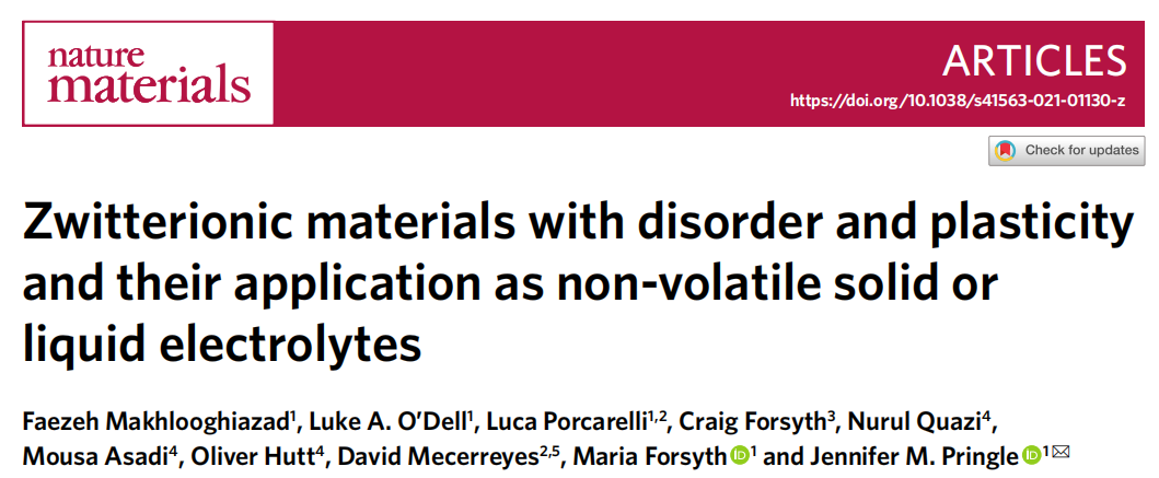 Nature Materials：两性离子，电解质的未来！