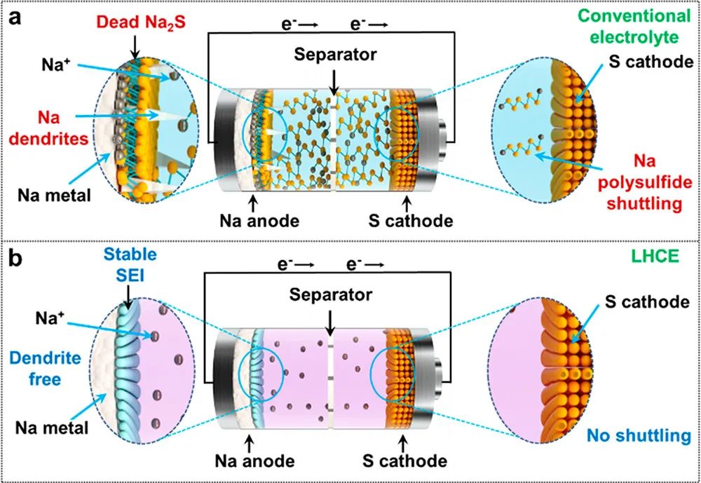 Arumugam Manthiram教授JACS：局部高浓电解液实现无枝晶钠硫电池！