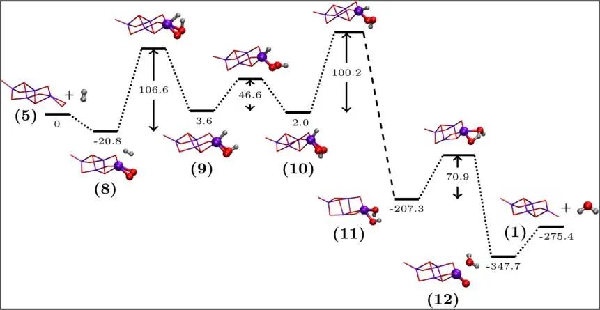 8篇催化顶刊集锦：Angew.、JACS、AEM、ACS Catal.等成果