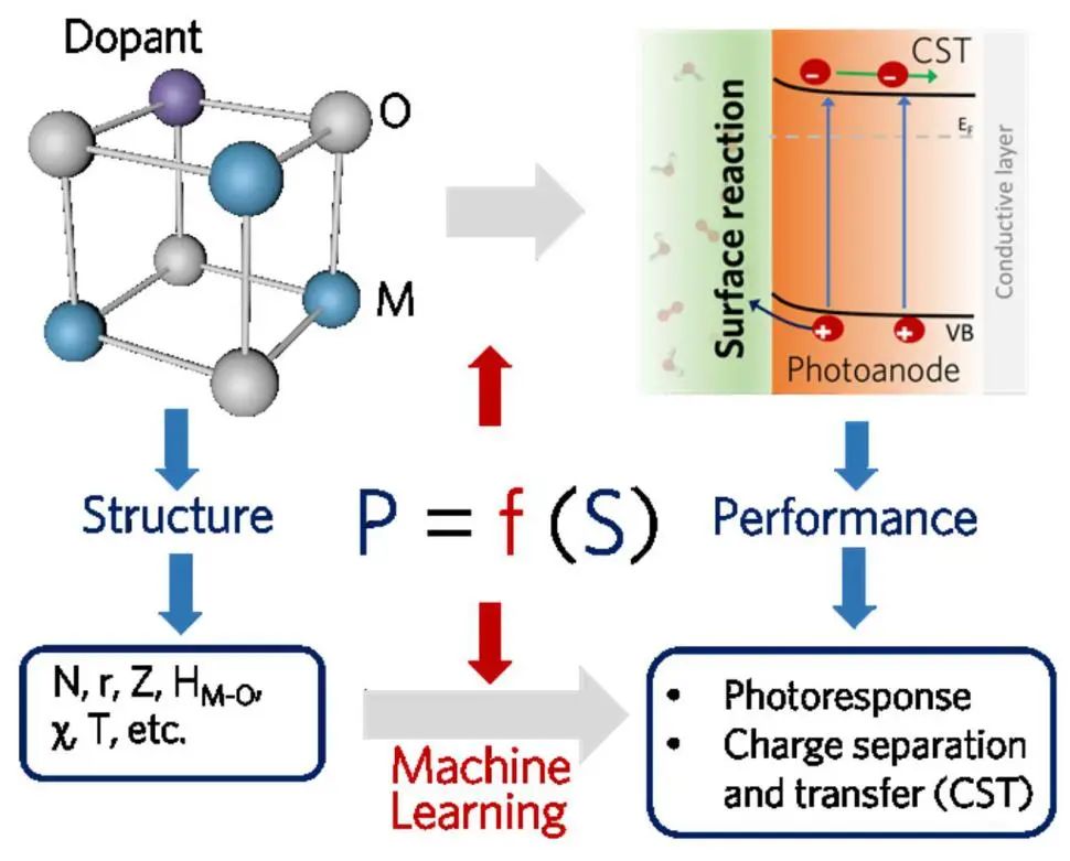 王连洲/孙世静/王志亮AM: 机器学习指导光电化学水分解的掺杂剂选择