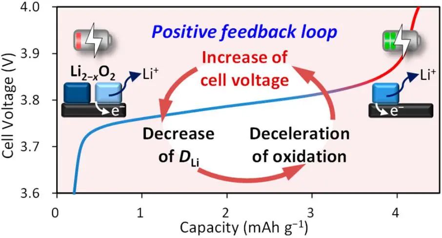 JACS: 提高Li-O2电池充电电压的正反馈机制