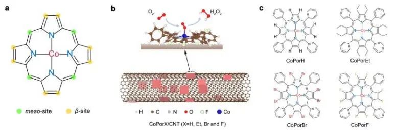 悉尼大学/日本东大EES：H2O2选择性超90%! 多相分子Co-N-C催化剂实现高效电化学合成H2O2