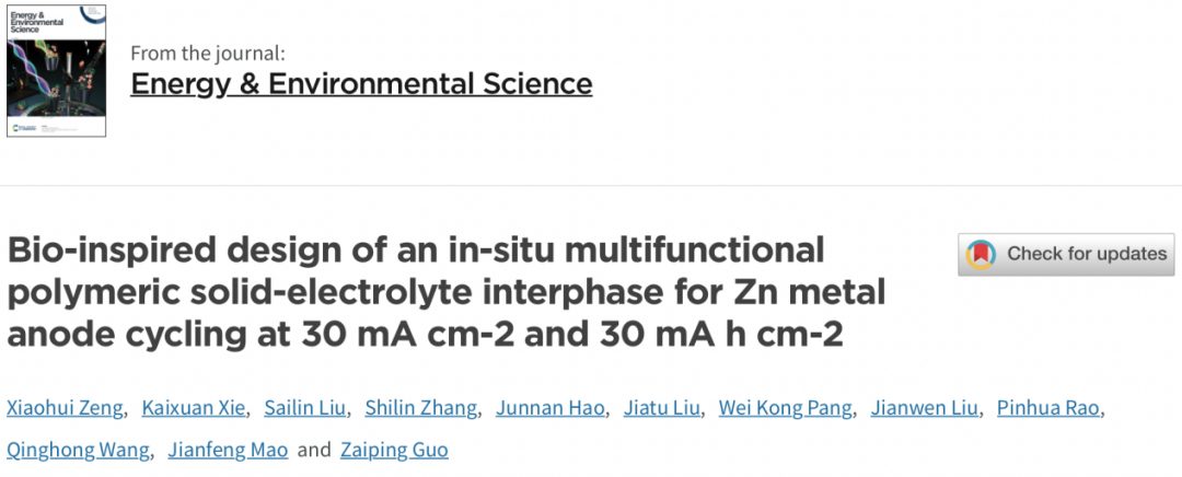 郭再萍教授EES，新策略使锌沉积电流高达30 mA cm-2