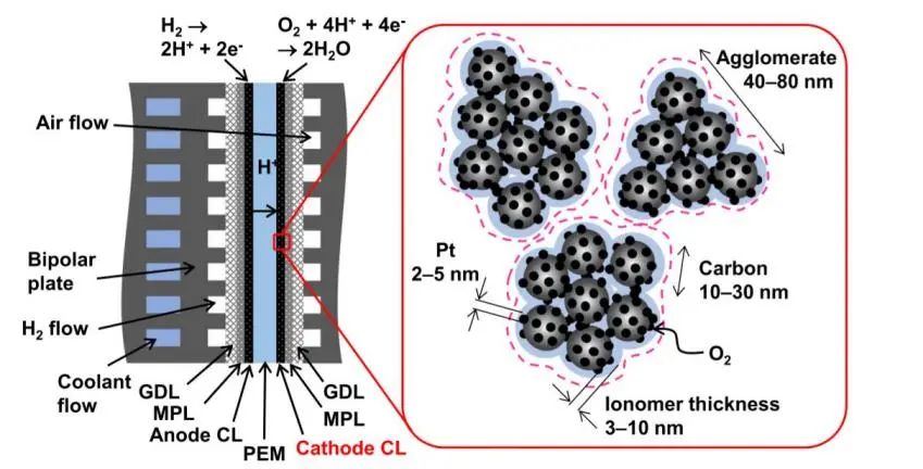 丰田中央研究所Nat. Comm.: 透氧离聚物在聚合物电解质燃料电池中的作用
