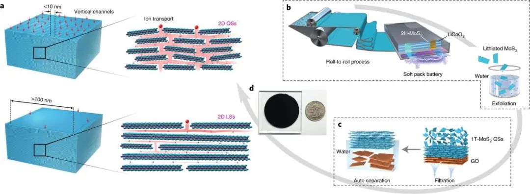 ​这个团队刚获国家自然科学二等奖，再发Nature Nanotech.！