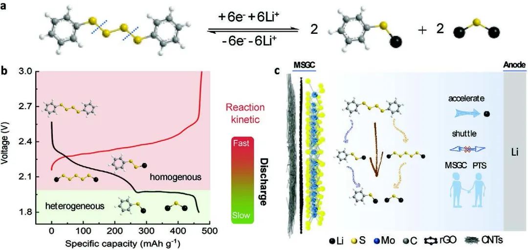 郑大付永柱/郭玮Small：动态混合相MoS2使高性能锂有机硫化物电池成为可能
