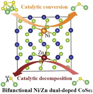 李喜飞/许云华AFM: CoSe2对锂硫电池的双功能催化作用：单掺杂与双掺杂