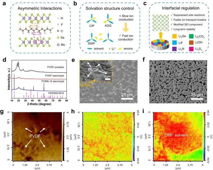 浙大陆盈盈，最新Nature子刊！