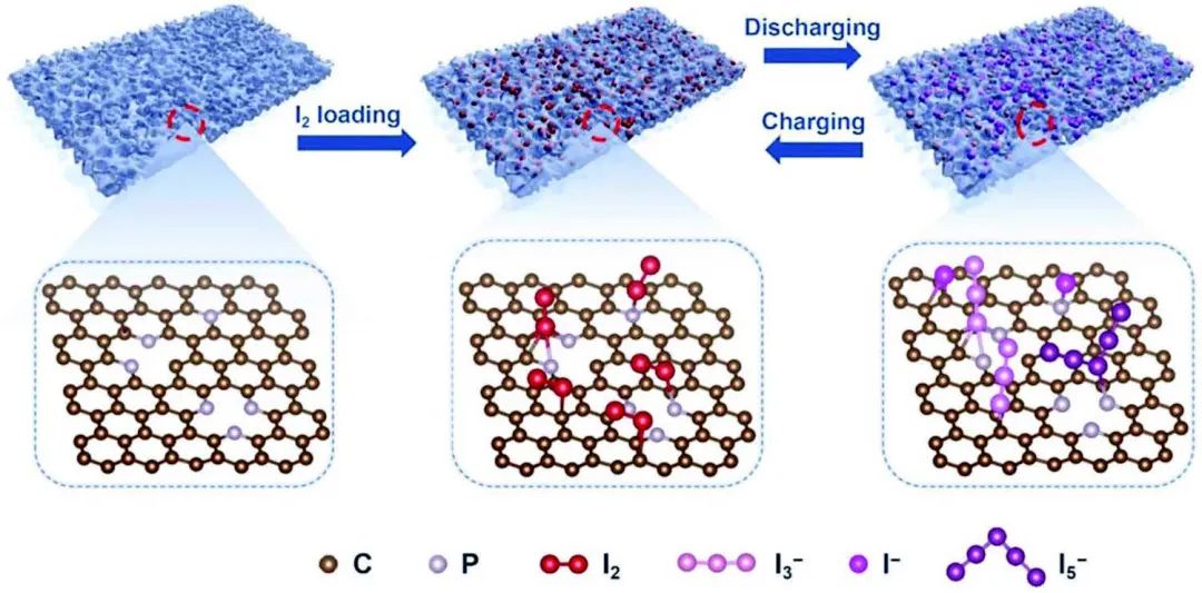 ​厦大周尧/李君涛AFM：P掺杂二维碳作为宿主实现无穿梭效应Zn-I2电池