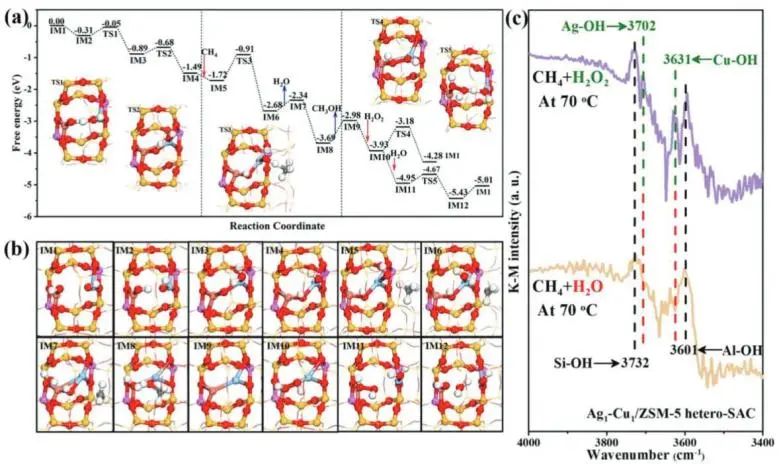 催化顶刊集锦：JACS、Nature子刊、EES、ACS Catal.、Adv. Sci.等