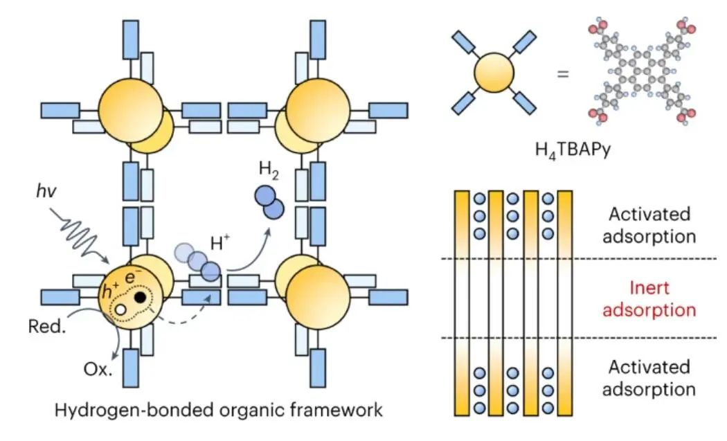 ​朱永法/郭燕，最新Nature Catalysis！