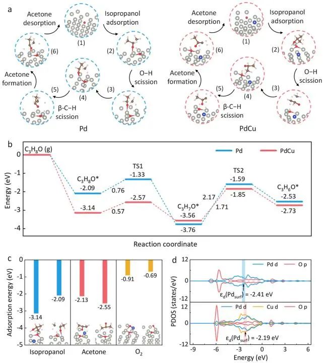 催化顶刊集锦：JACS、Nat. Commun.、ACS Catal.、AFM、ACS Nano等成果