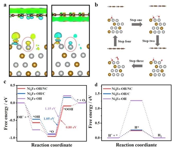 催化顶刊集锦：JACS、ACS Catalysis、Small、JMCA、CEJ、Angew、Carbon Energy等成果