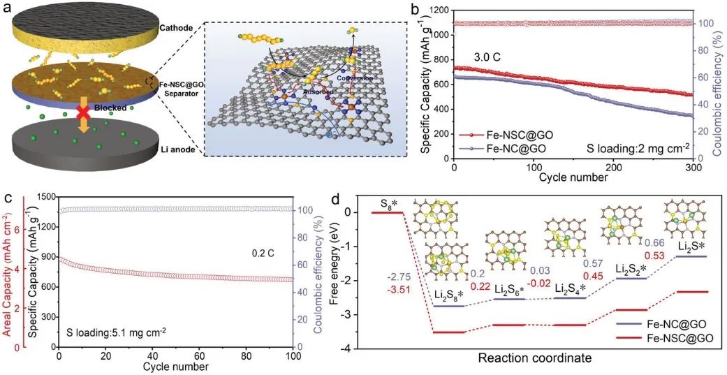北化工AFM：Fe-NSC@GO实现高性能Li-S电池