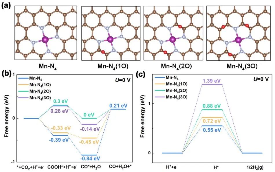 【计算+实验】顶刊集锦：Angew、AM、AFM、Small、ACS Catalysis等成果精选