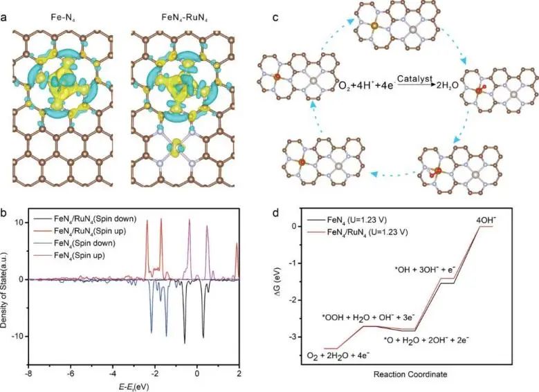 催化顶刊集锦：JACS、Nat. Commun.、AFM、ACS Catal.、Adv. Sci.、Small等