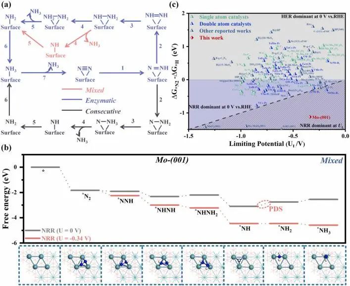 催化日报顶刊集锦：Angew./AFM/Small Methods/NML/ACS Catal./ACB等成果