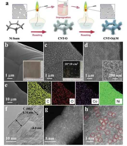 8篇催化顶刊：EES、Angew、ACS Catal.、Nano Energy、Adv. Sci.等