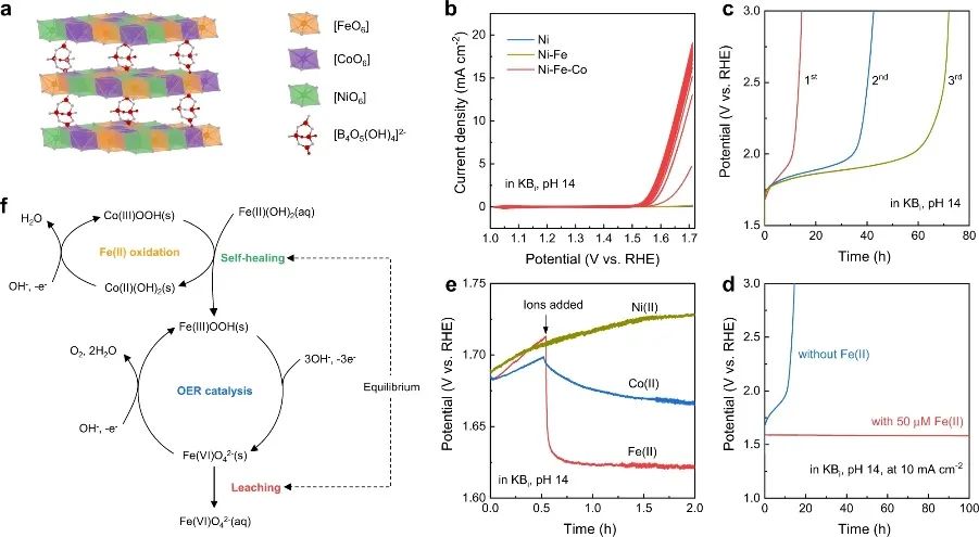 Nature子刊：强碱性条件下电催化和光电化学OER的自修复催化剂