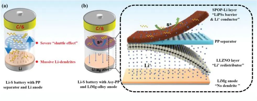 吴宇平/王召根Adv. Sci.：非对称隔膜+无枝晶合金负极实现高性能锂硫电池！