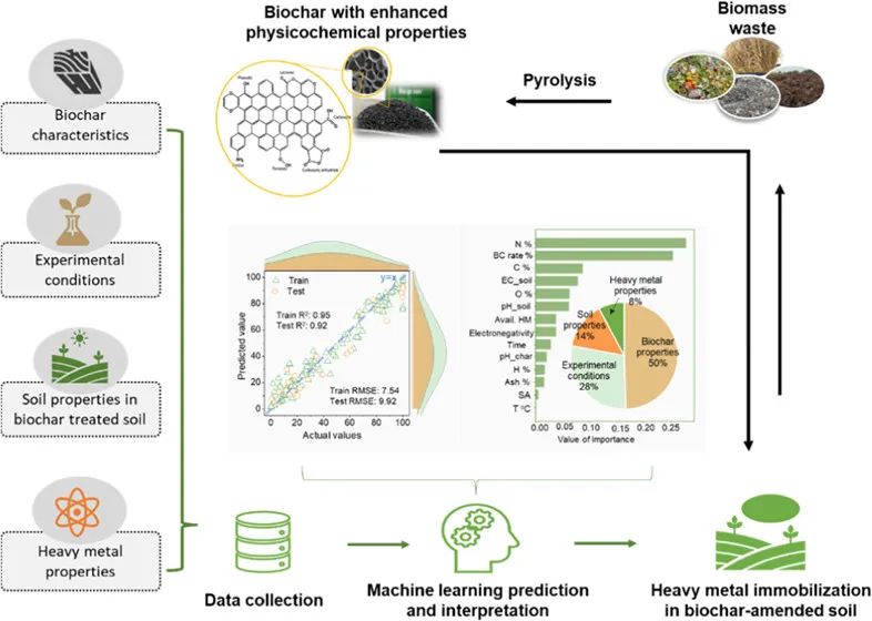 清华王笑楠ES&T: 机器学习预测生物炭对土壤重金属的固定效率
