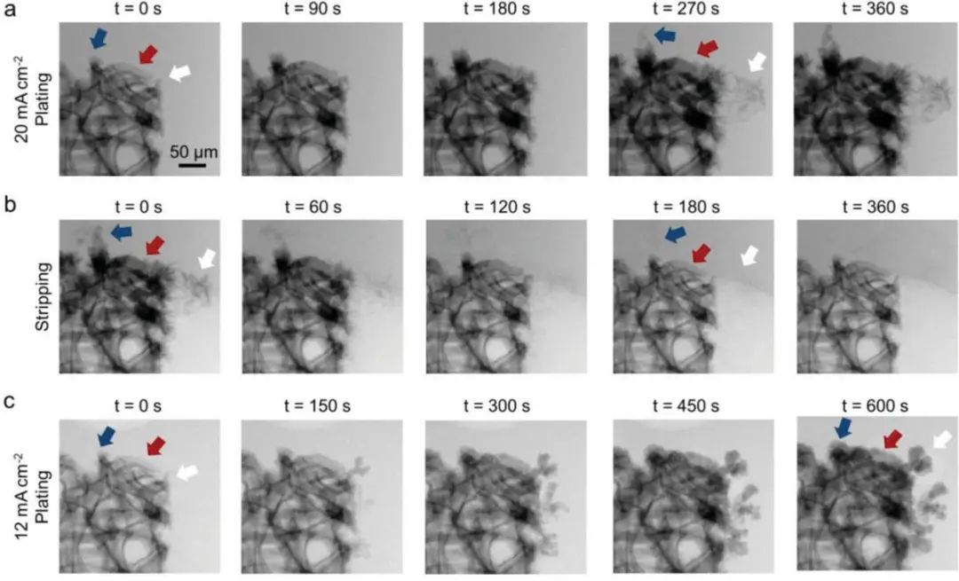 刘宜晋/李林森AEM：运行中水系锌离子电池负极结构、动力学和化学特征