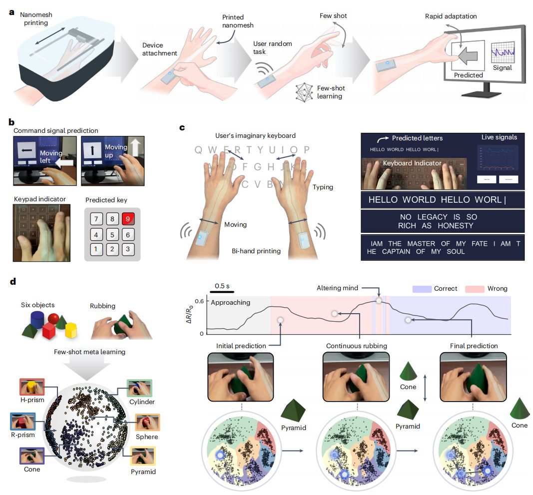 鲍哲南教授等，最新Nature子刊！