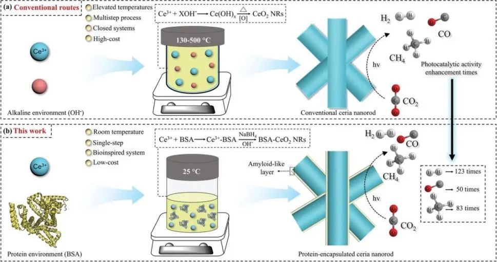 杨鹏/顾泉Small: 绿色又简单，蛋白质包封CeO2纳米棒用于光催化HER和CO2RR