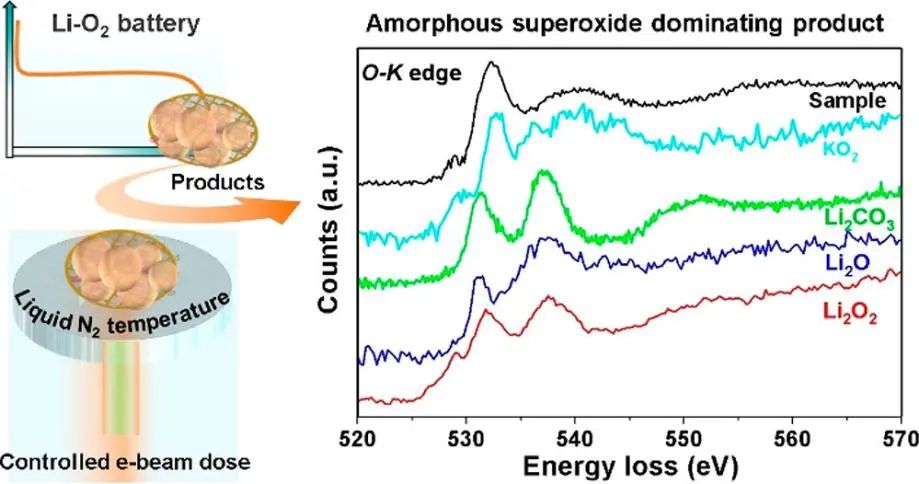 谷猛/韩兵等JACS：冷冻电镜揭示锂氧电池中非晶产物的本征原子结构和化学性质