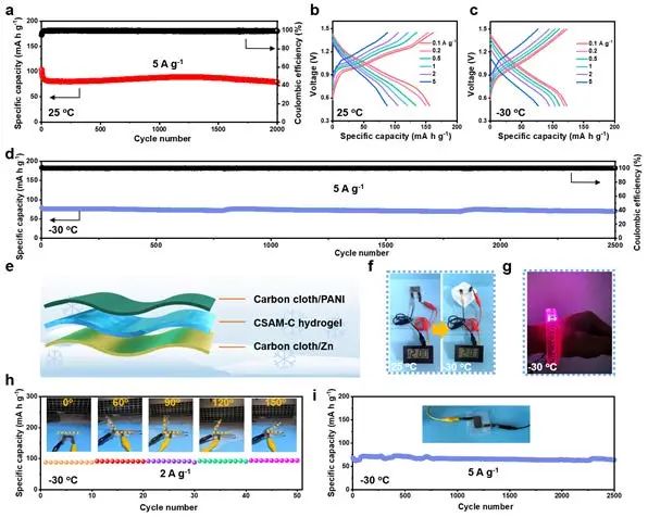东华大学武培怡/焦玉聪AM：可耐-30℃的柔性水系锌离子电池！