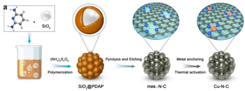 王爱琴/杨小峰/李剑锋JACS: 单原子催化剂在电催化中的动态行为: 鉴定Cu-N3作为氧还原反应的活性位点