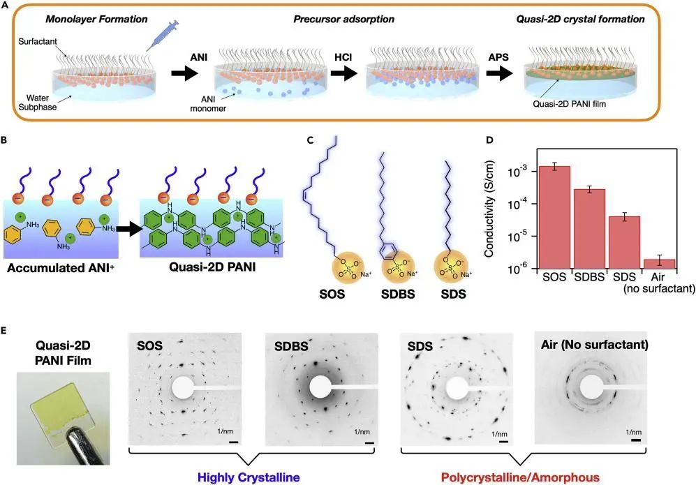 冯新亮院士等Chem：实时研究！水界面上表面活性剂单层辅助生长结晶准2D聚合物