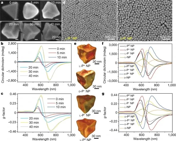 历史性突破！江南大学最新Nature！