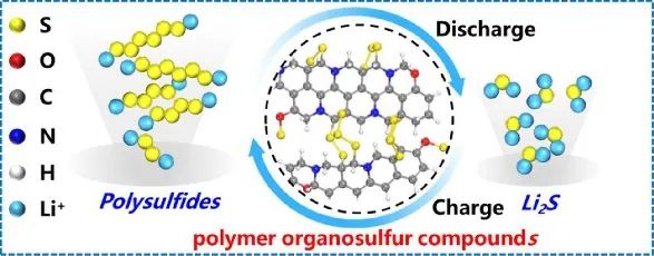 于中振/曲晋/郭玉国EnSM：聚合物氧化还原介质助力锂硫电池1000圈循环！