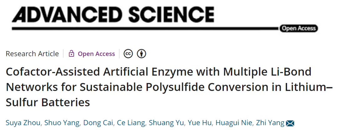 温大杨植Adv. Sci.：含多重锂键网络的仿生人造酶助力高性能锂硫电池