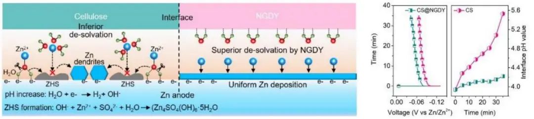 支春义/李玉良/邱介山Angew：稳定界面pH，对称Zn电池寿命提高116倍！
