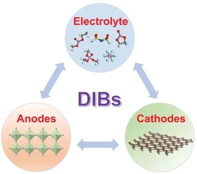 中科院深圳先进院唐永炳AEM：双离子电池的进展与展望