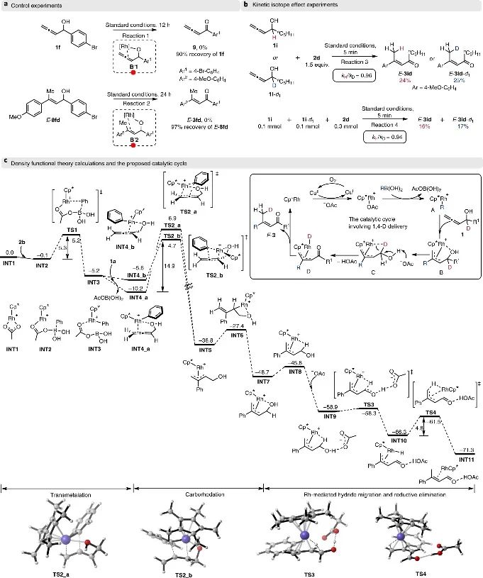 上海有机所&复旦Nature Catalysis：E-型烯醛/烯酮合成新策略！