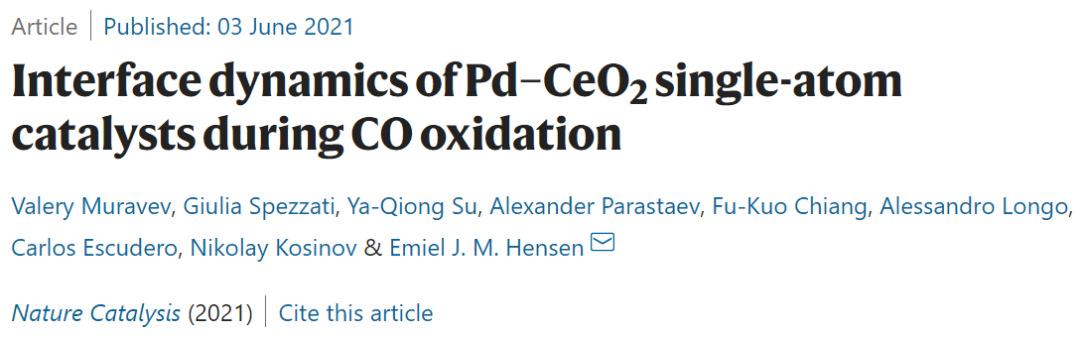 单原子催化领域，再获一篇Nature Catalysis！