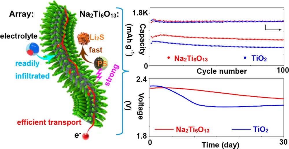 邵国胜/王卓/刘金平ACS Nano：低E/S比、高S负载锂硫电池的多功能硫主体