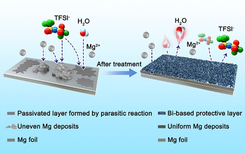 ACS Energy Lett.：用于非腐蚀性电解液中镁金属负极的铋基保护层
