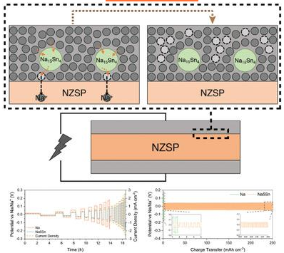 曾开阳/吕力AEM：一种使用钠-锡合金改性钠金属负极的坚固固-固界面