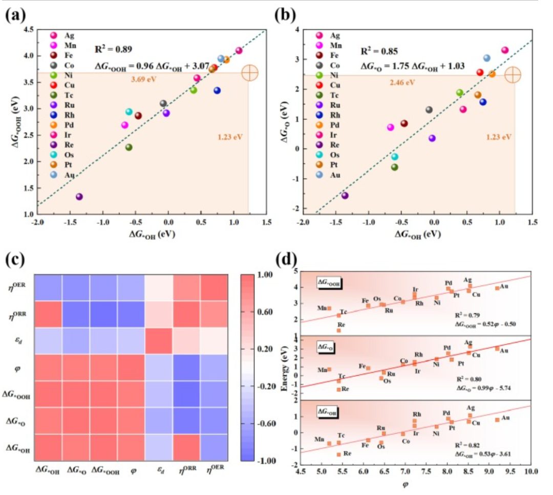 【MS纯计算】J. Colloid Interf. Sci.：用于促进氧还原、析氧和析氢的单过渡金属修饰C4N/MoS2异质结构