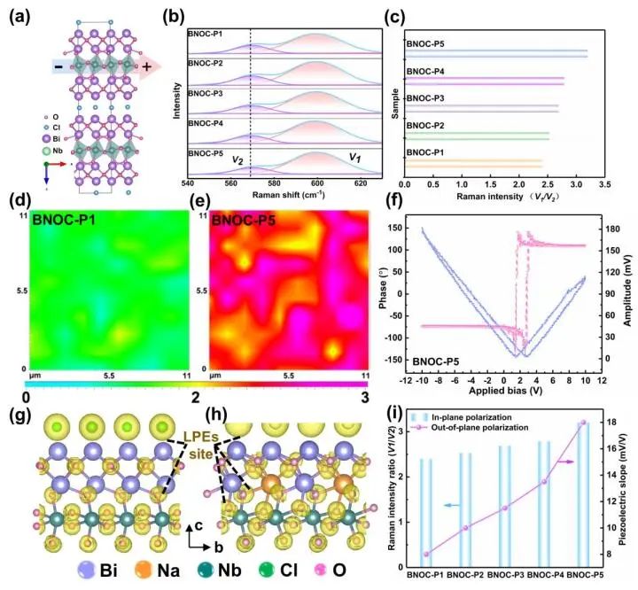 计算顶刊成果速递：3篇Angew、2篇Nat. Commun.、JACS、AFM、Small等！